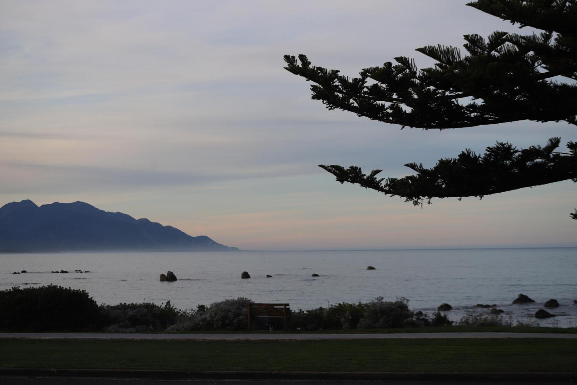 Sierra Beachfront Motel Kaikoura Buitenkant foto